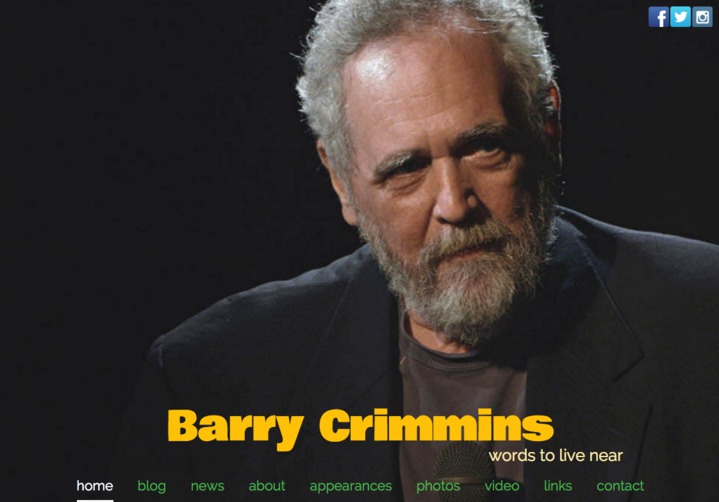 barry crimmins website screenie