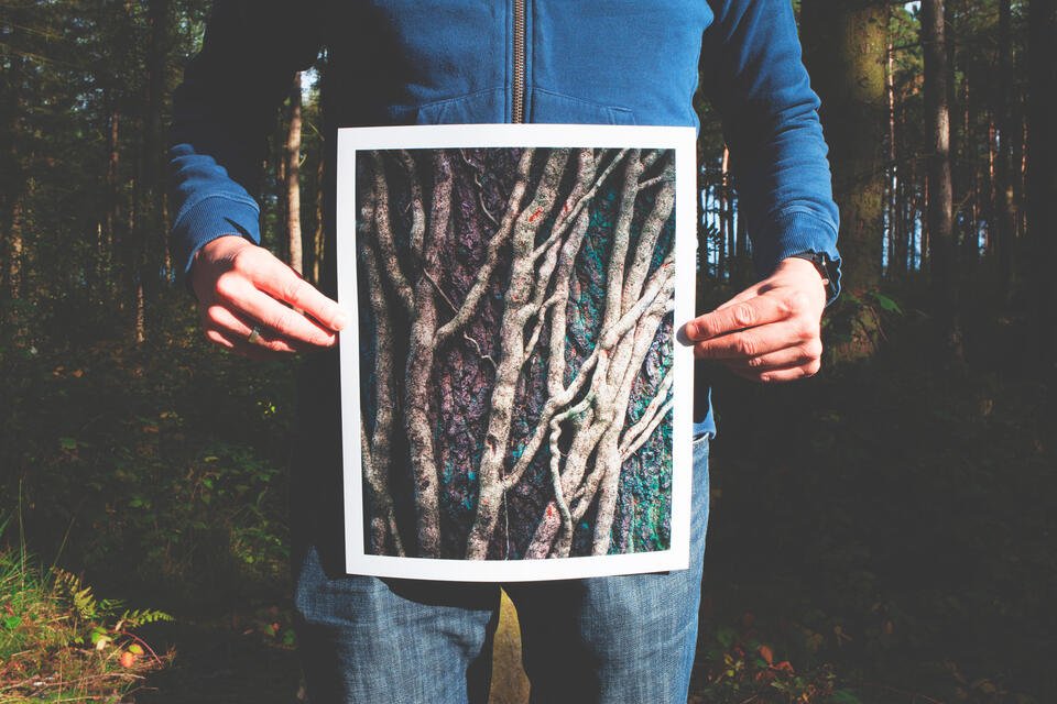 Man holding a photo of trees